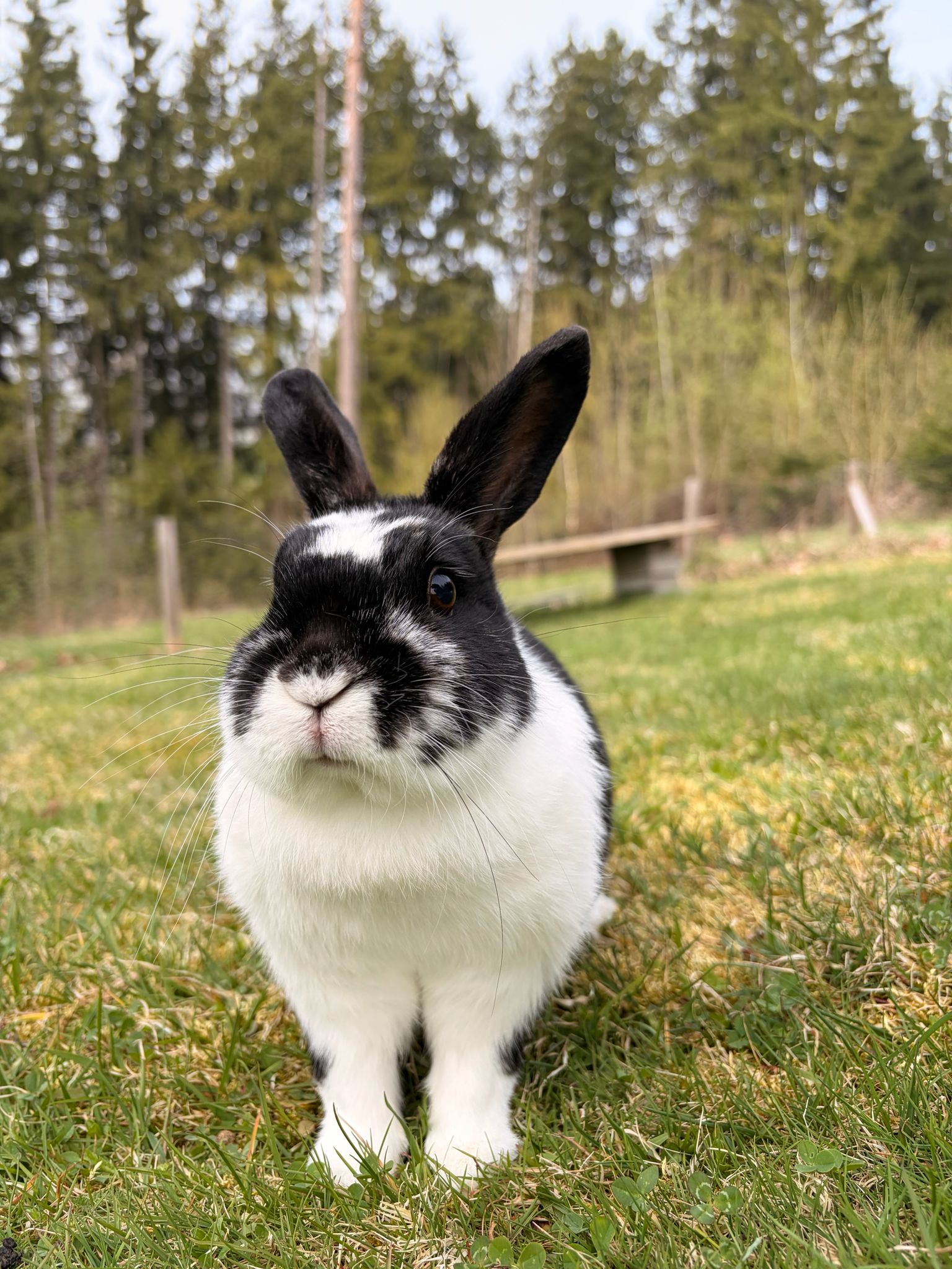 sammy